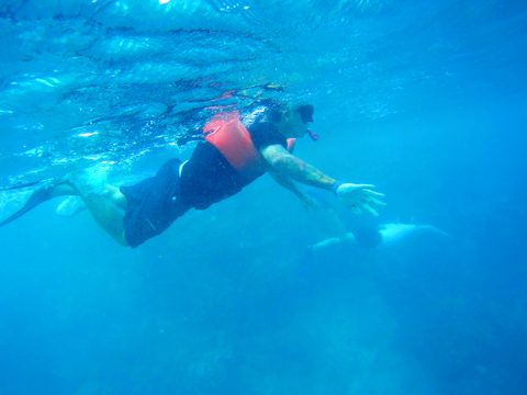A person wearing a life vest and snorkel gear swims through clear blue water. January 14, 2020